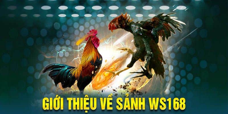 Giới thiệu chung về WS168 đá gà trực tiếp tại 69VN